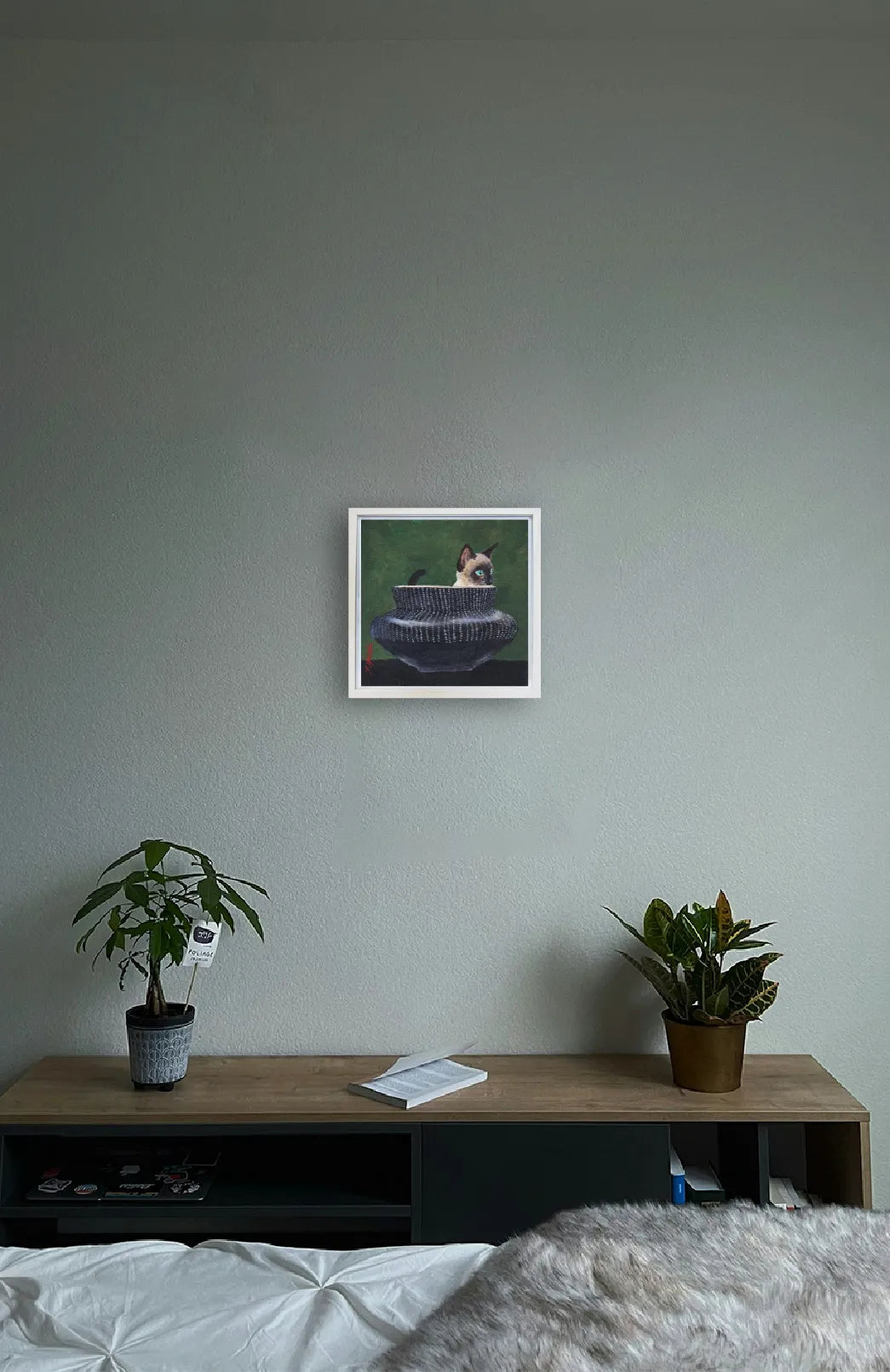 “242-Cat in pot”