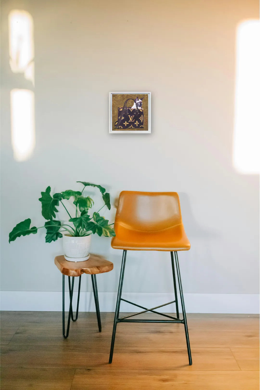 “248-Cat in bag”