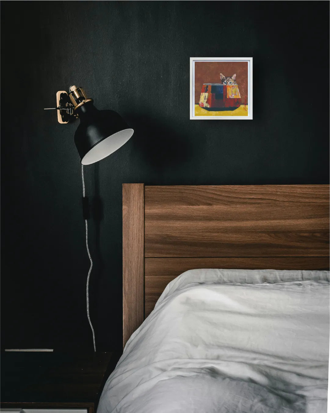 “241-Cat in pot”