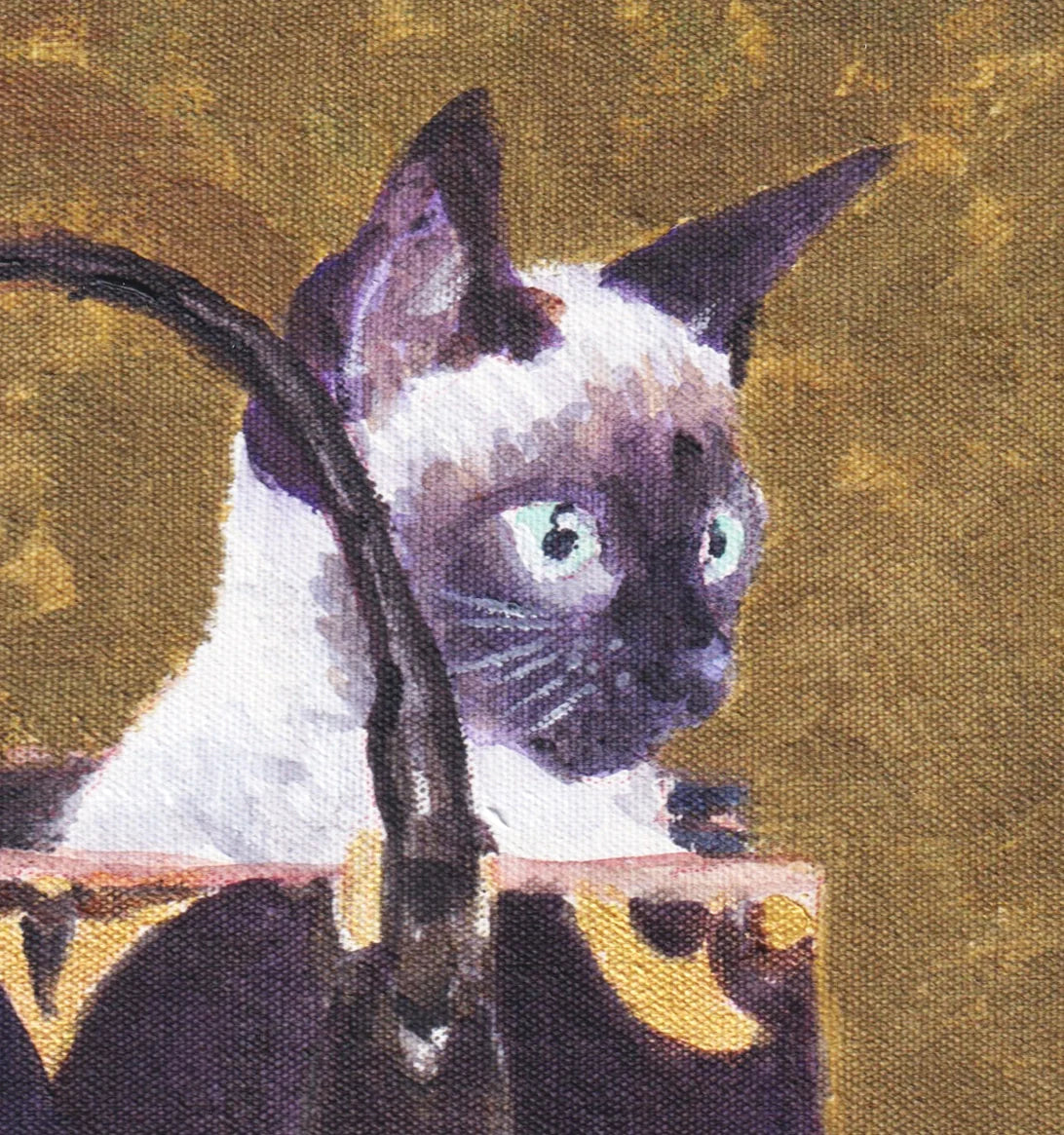 “248-Cat in bag”